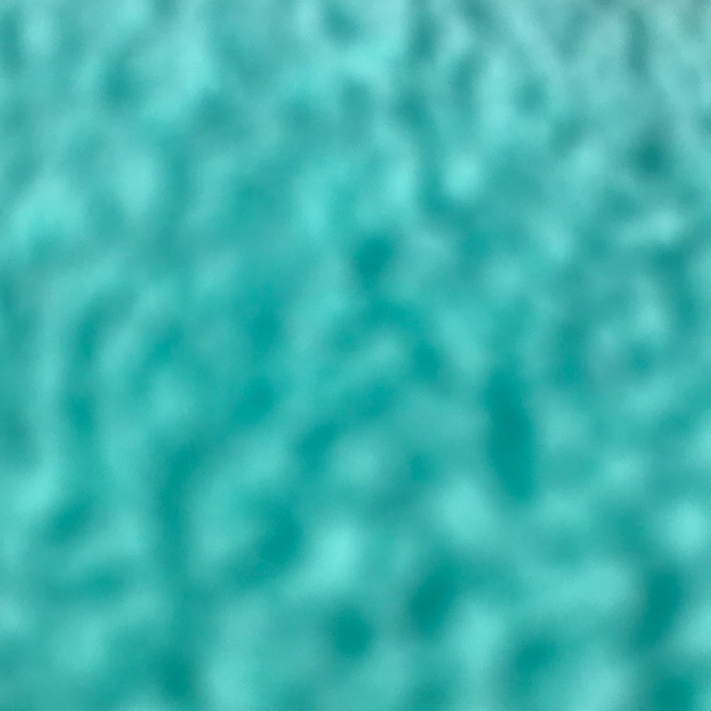 Meet your Posher, Cora